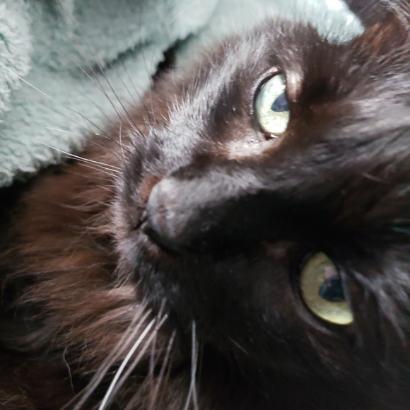 Meet your Posher, Jordan - Picture 5 of 8